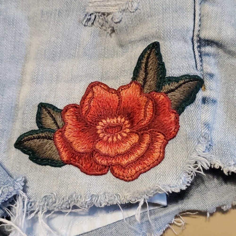 American Eagle Shorts - Picture 3 of 8